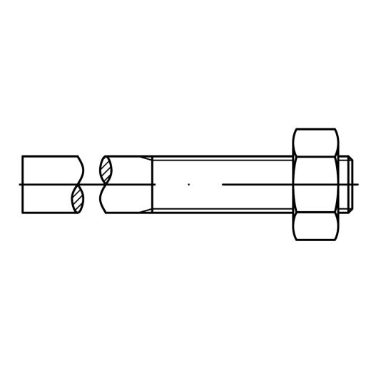 DIN 525 Mu 3.6 | M 22 x 220 / 80 mm | 25 Stück