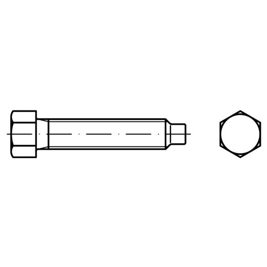 DIN 561 22H / 8.8 Form B | M 12 x 25 SW17 mm galvanisch verzinkt A2F | 50 Stück