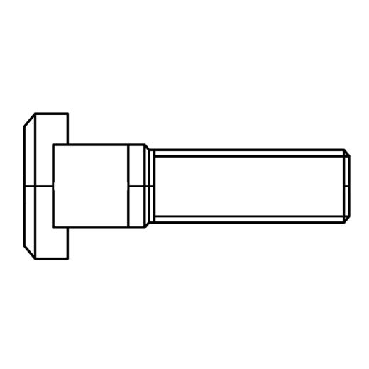 T-Nutenschrauben DIN 787 8.8 12 | M 12 x 100 mm | 10 Stück