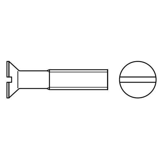 Senkschrauben DIN 963 4.8 | M 12 x 45 mm | 100 Stück