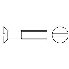 Senkschrauben DIN 963 4.8 | M 6 x 100 mm | galv. verzinkt | 200 Stück