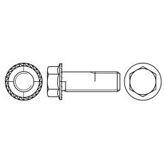 Sechskant-Flanschschrauben | M 12 x 25 | Stahl | 100 Stück